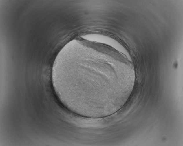 X0000116450036201001191602