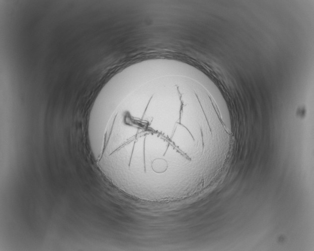X0000116450037201001191602