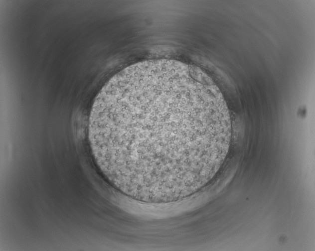 X0000116450038201001191602