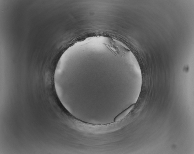 X0000116450039201001191602