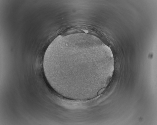 X0000116450040201001191602
