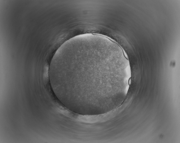 X0000116450041201001191602