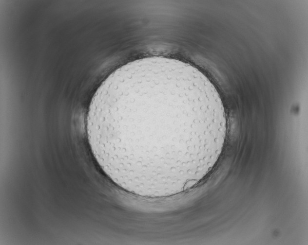 X0000116450042201001191602