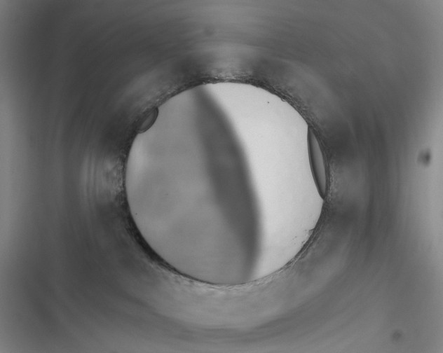 X0000116450043201001191602