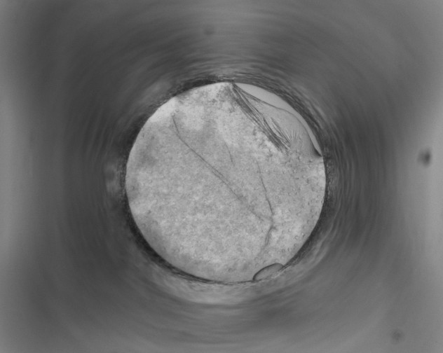 X0000116450044201001191602