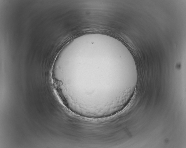 X0000116450045201001191602