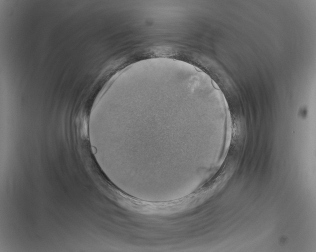 X0000116450046201001191602