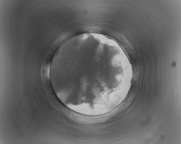 X0000116450047201001191602