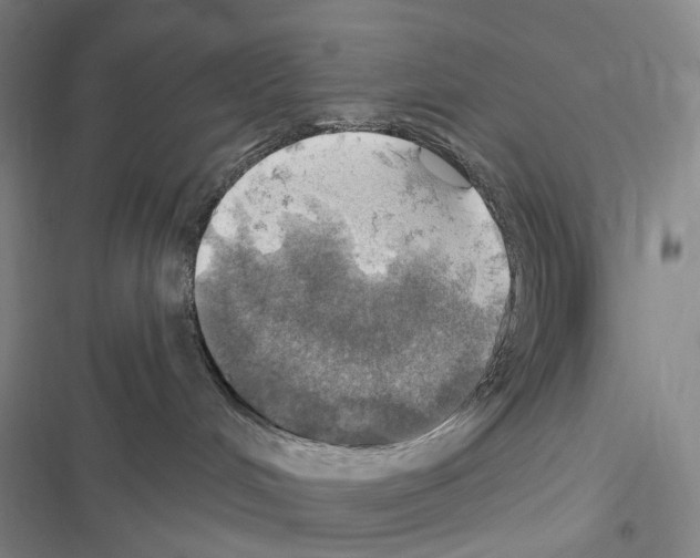 X0000116450048201001191602