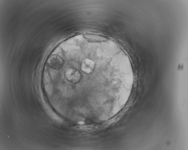 X0000116450049201001191601