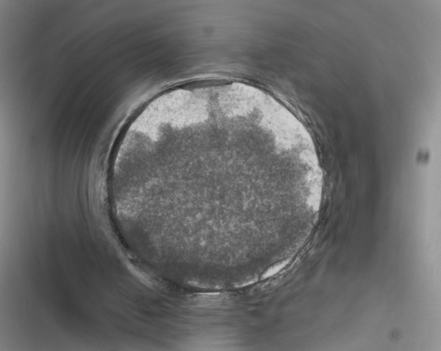 X0000116450050201001191601