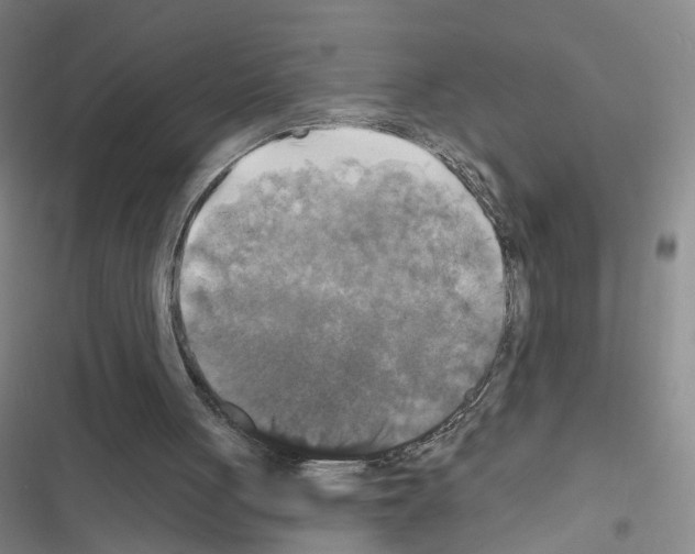 X0000116450051201001191601