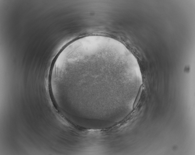 X0000116450052201001191601