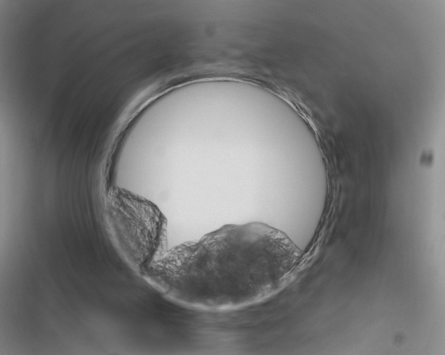 X0000116450053201001191601