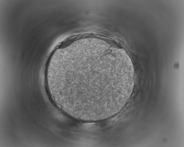 X0000116450054201001191601