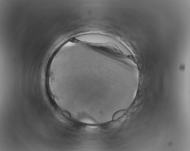 X0000116450055201001191601