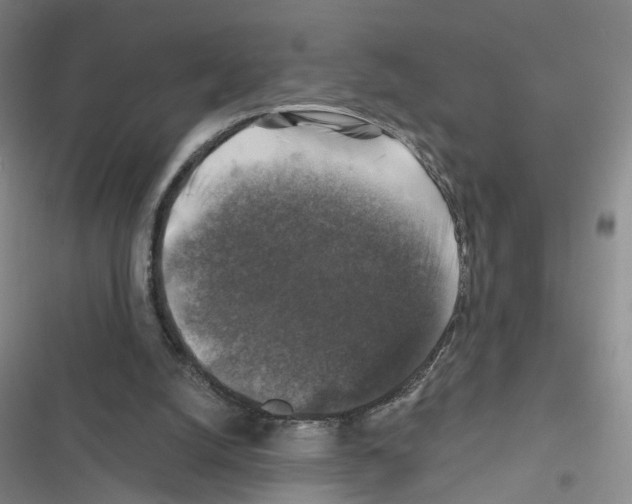 X0000116450056201001191601