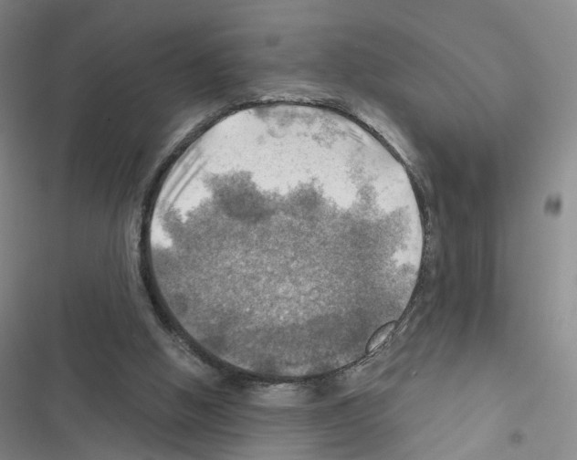 X0000116450058201001191601