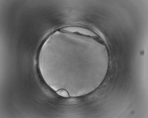 X0000116450059201001191601