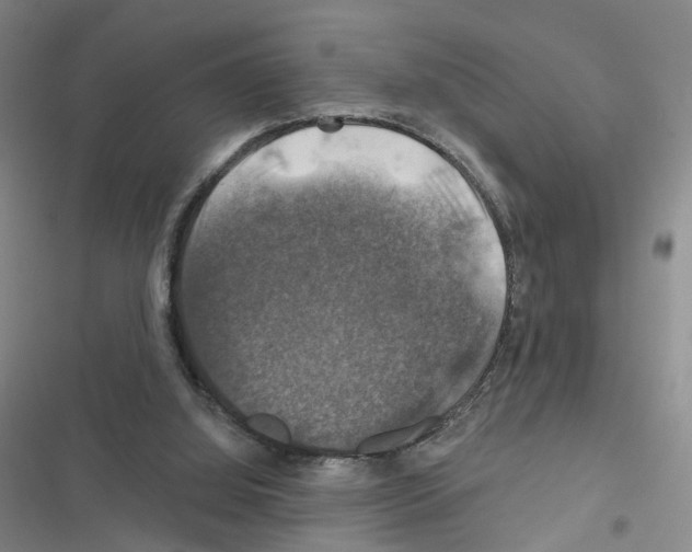 X0000116450060201001191601