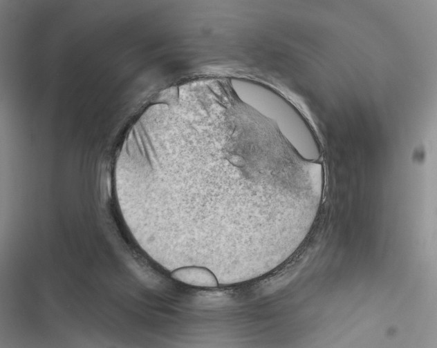X0000116450061201001191601