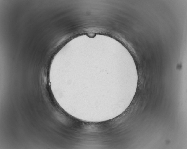 X0000116450062201001191601