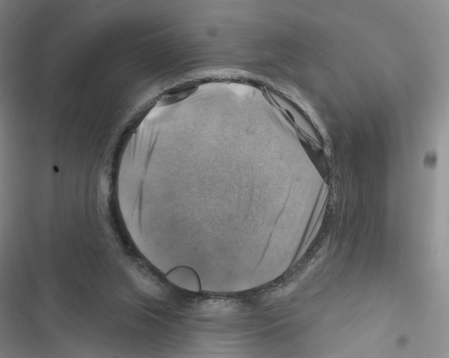 X0000116450063201001191601