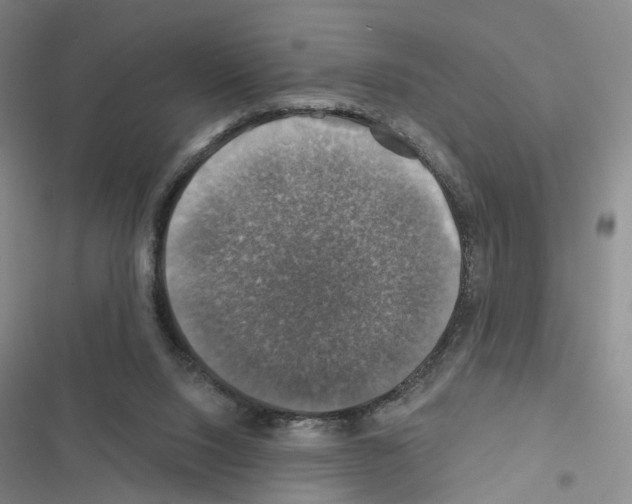 X0000116450064201001191601