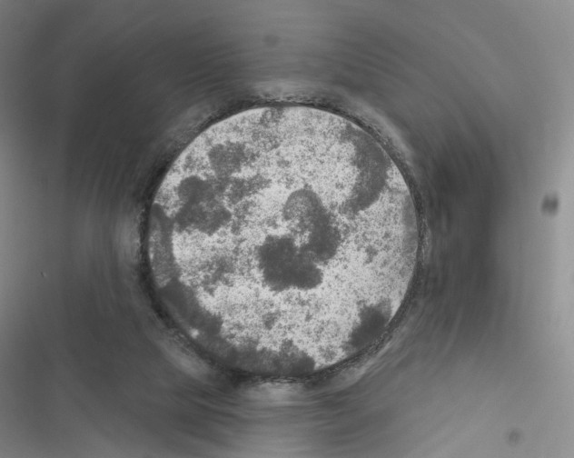 X0000116450065201001191601