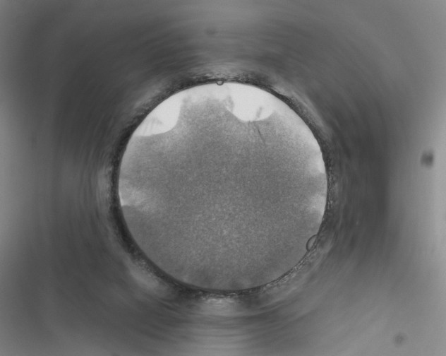 X0000116450066201001191601