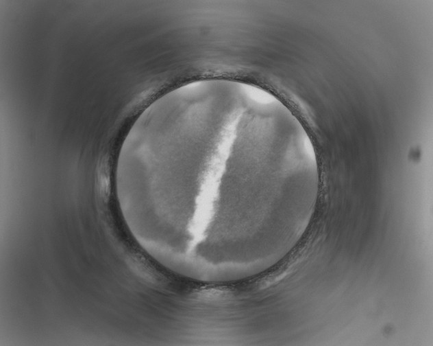 X0000116450067201001191601