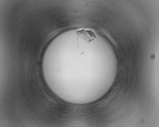 X0000116450068201001191601