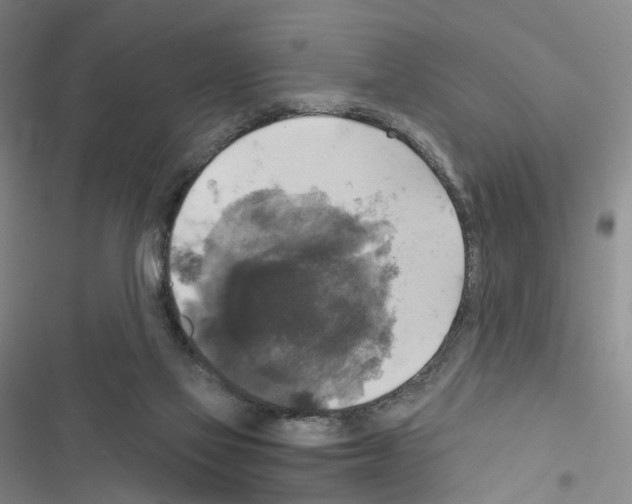 X0000116450069201001191601