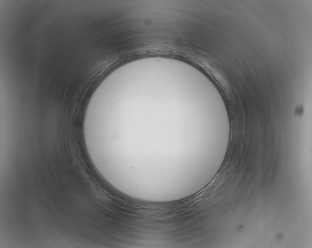 X0000116450070201001191601
