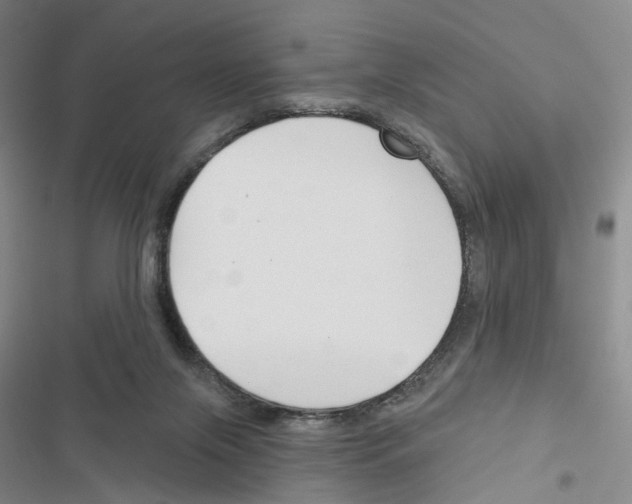 X0000116450071201001191601
