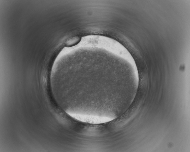 X0000116450072201001191601