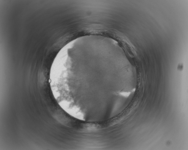 X0000116450073201001191601