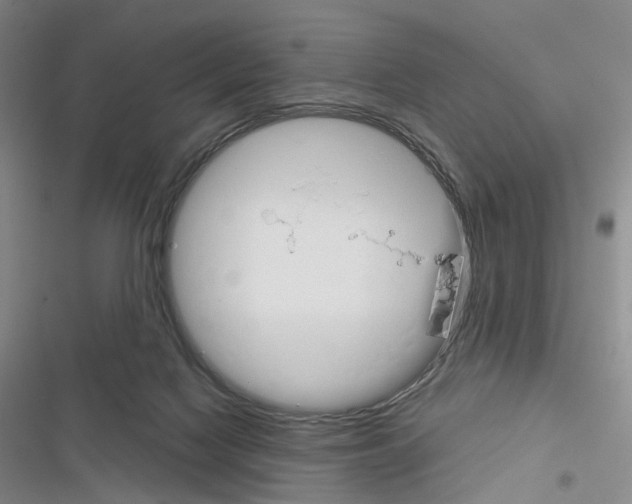 X0000116450074201001191601