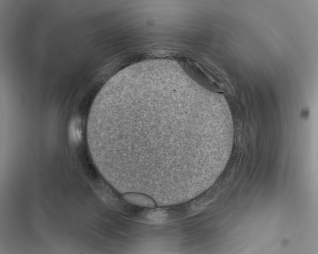 X0000116450075201001191601