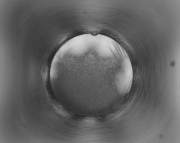 X0000116450076201001191601