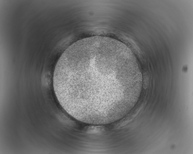 X0000116450077201001191601