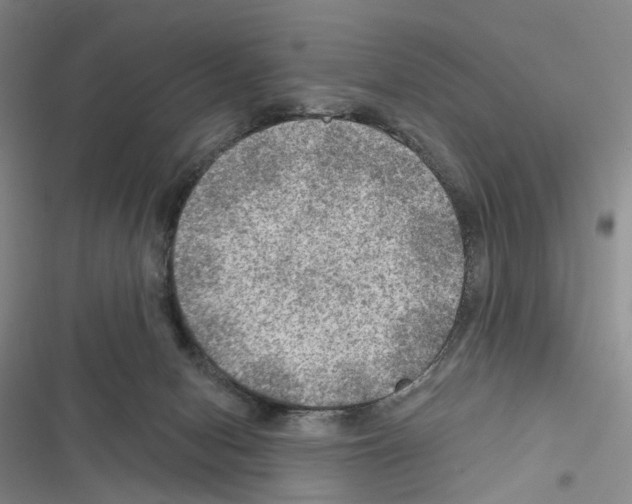X0000116450078201001191601