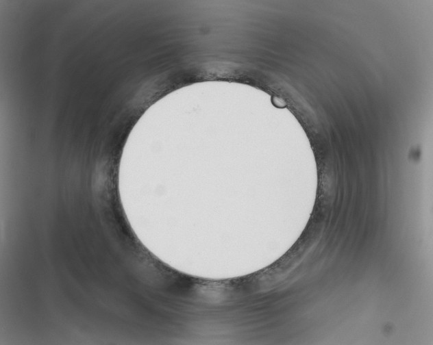 X0000116450079201001191601