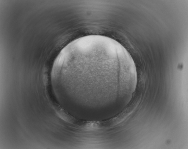 X0000116450080201001191601