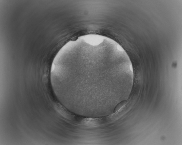 X0000116450082201001191601