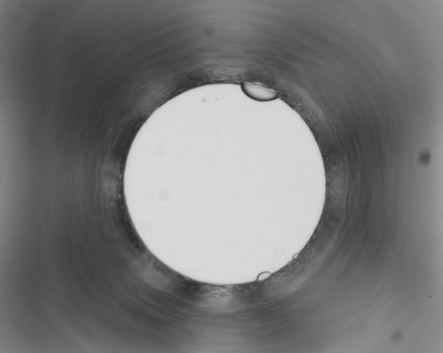 X0000116450083201001191601