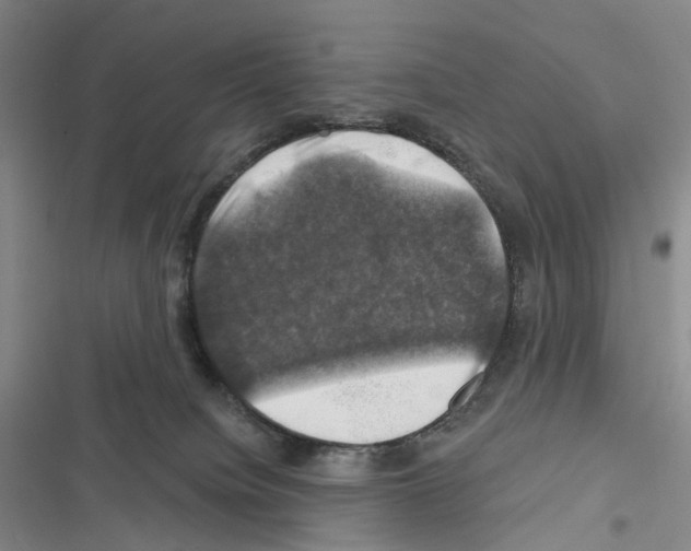 X0000116450084201001191601