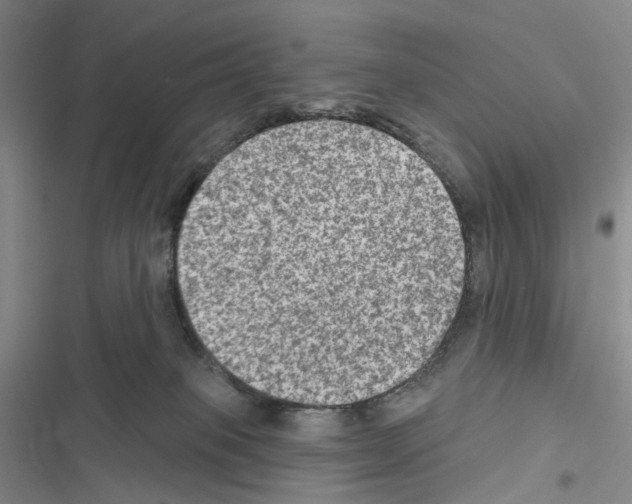 X0000116450085201001191602