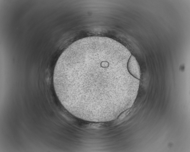 X0000116450086201001191602