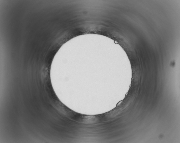 X0000116450087201001191602